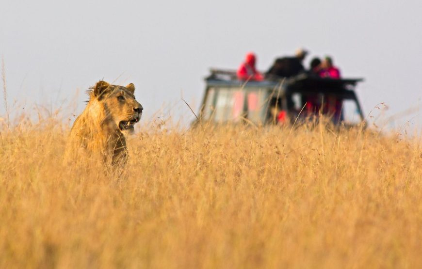 13 Days Kenya Special Safari