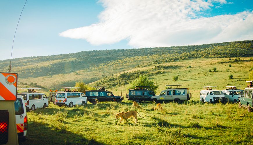 Kenya Wildlife Safaris, Maasai Mara, Amboseli, Tsavo, Lake Nakuru and Lake Naivasha Safaris