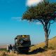 8 Days Best Of Kenya Safari