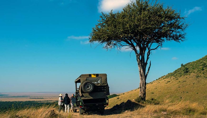 Kenya Wildlife Safaris, Maasai Mara, Amboseli, Tsavo, Lake Nakuru and Lake Naivasha Safaris