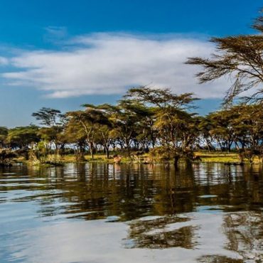 Lake Naivasha National Park
