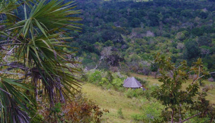 Kenya Wildlife Safaris, Maasai Mara, Amboseli, Tsavo, Lake Nakuru and Lake Naivasha Safaris